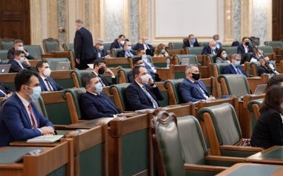 Profesionalizarea CNA şi corectarea legii spaţiilor verzi – cele mai importante  puncte din agenda parlamentară a acestei săptămâni