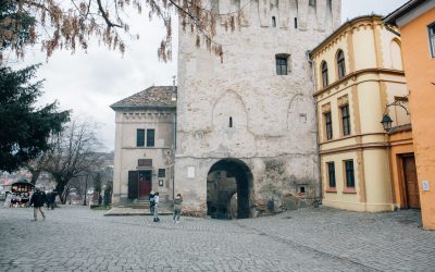 Resuscitarea Poliţiei de Patrimoniu – una dintre soluţiile pentru ca moştenirea culturală a poporului român să nu fie distrusă