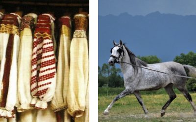 Cămaşa cu altiţă inclusă în Patrimoniul Imaterial al Umanităţii, iar dosarul “Caii Lipiţani” acceptat pe Lista reprezentativă UNESCO