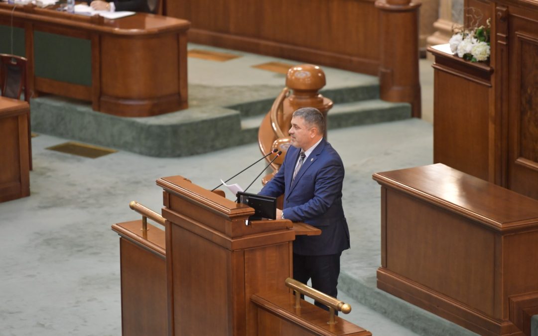 Ce am făcut în ultima săptămână în Parlament